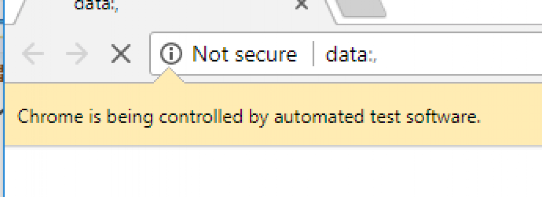 chrome-disable-infobar-selenium